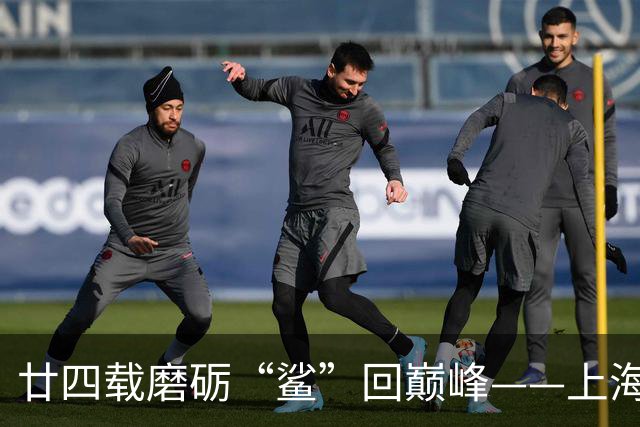 廿四载磨砺“鲨”回巅峰——上海男篮夺冠之路